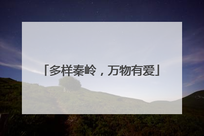 多样秦岭，万物有爱