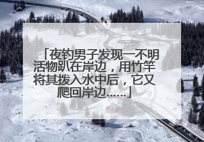 夜钓男子发现一不明活物趴在岸边，用竹竿将其拨入水中后，它又爬回岸边……