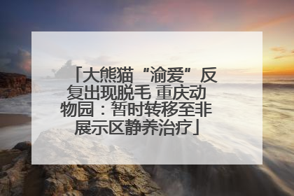 大熊猫“渝爱”反复出现脱毛 重庆动物园：暂时转移至非展示区静养治疗