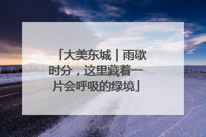 大美东城｜雨歇时分，这里藏着一片会呼吸的绿境