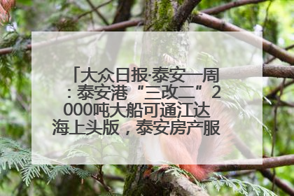 大众日报·泰安一周：泰安港“三改二”2000吨大船可通江达海上头版，泰安房产服务改革经验全省推广