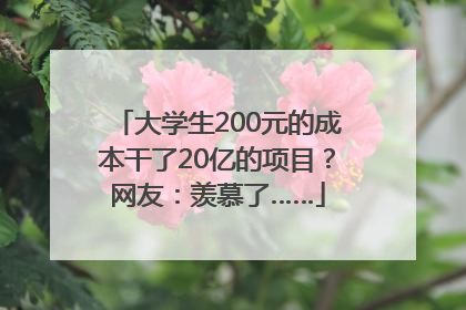 大学生200元的成本干了20亿的项目？网友：羡慕了……