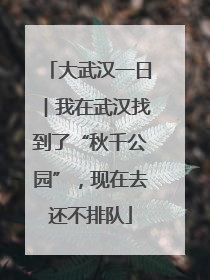 大武汉一日︱我在武汉找到了“秋千公园”，现在去还不排队