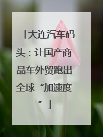 大连汽车码头：让国产商品车外贸跑出全球“加速度”
