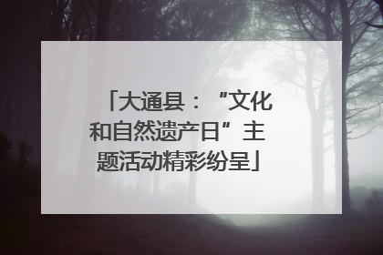 大通县：“文化和自然遗产日”主题活动精彩纷呈
