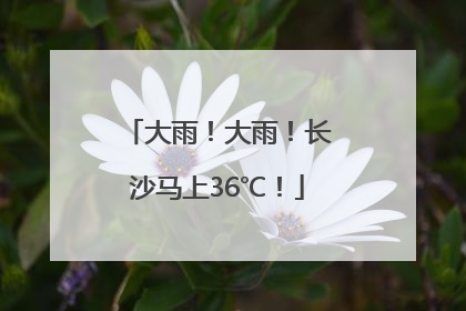 大雨！大雨！长沙马上36℃！