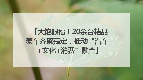 大饱眼福！20余台精品豪车齐聚嘉定，推动“汽车+文化+消费”融合