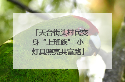 天台街头村民变身“上班族” 小灯具照亮共富路