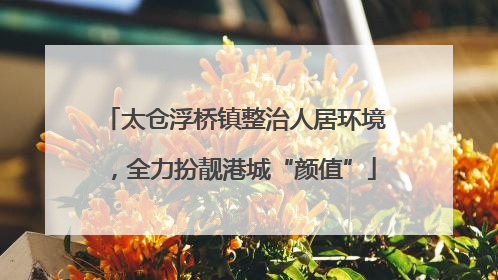 太仓浮桥镇整治人居环境，全力扮靓港城“颜值”