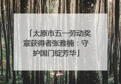太原市五一劳动奖章获得者张雅楠：守护国门绽芳华
