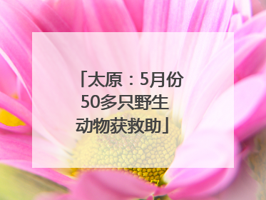 太原：5月份 50多只野生动物获救助