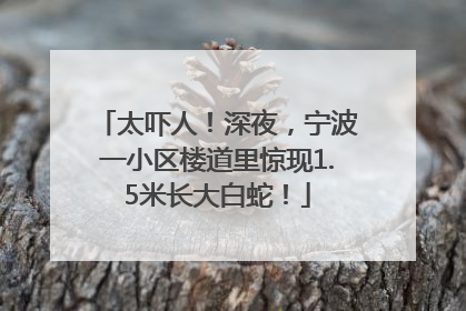 太吓人！深夜，宁波一小区楼道里惊现1.5米长大白蛇！