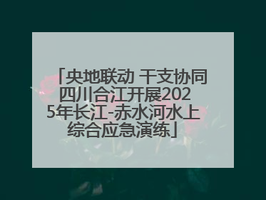 央地联动 干支协同 四川合江开展2025年长江-赤水河水上综合应急演练