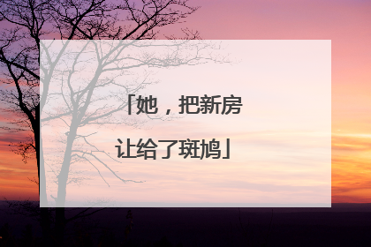 她，把新房让给了斑鸠