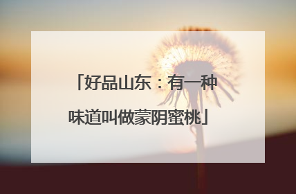 好品山东：有一种味道叫做蒙阴蜜桃