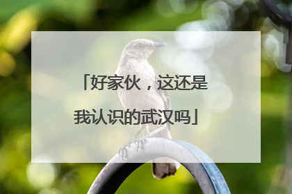好家伙，这还是我认识的武汉吗