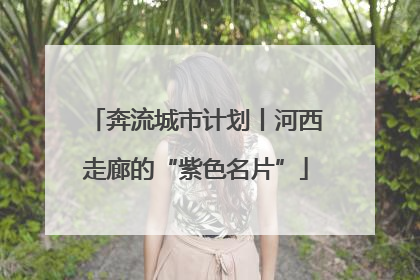 奔流城市计划丨河西走廊的“紫色名片”