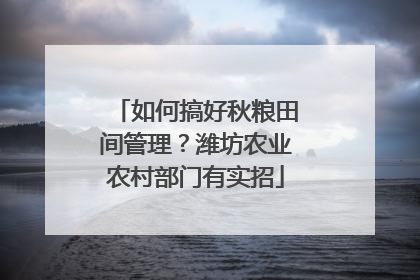 如何搞好秋粮田间管理？潍坊农业农村部门有实招