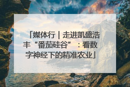 媒体行｜走进凯盛浩丰“番茄硅谷”：看数字神经下的精准农业