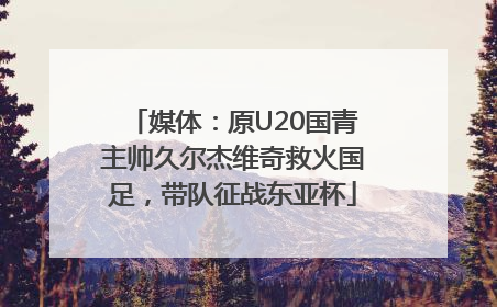 媒体：原U20国青主帅久尔杰维奇救火国足，带队征战东亚杯