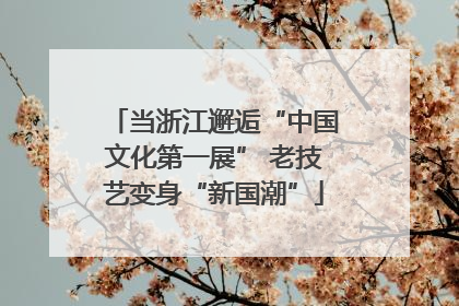 当浙江邂逅“中国文化第一展” 老技艺变身“新国潮”