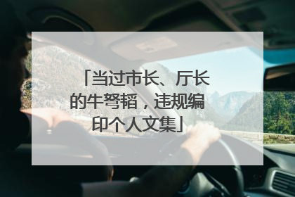 当过市长、厅长的牛弩韬，违规编印个人文集