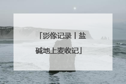 影像记录丨盐碱地上麦收记