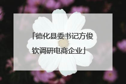 德化县委书记方俊钦调研电商企业