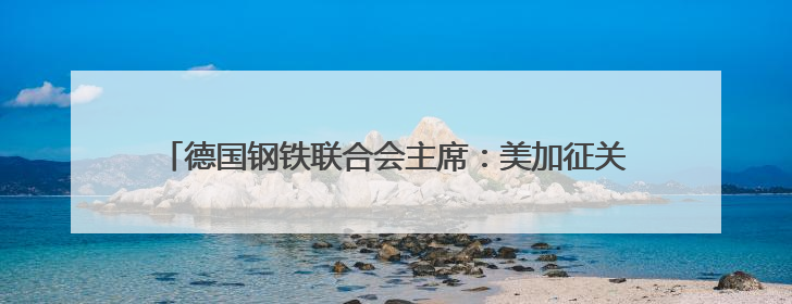 德国钢铁联合会主席：美加征关税给欧洲钢铁行业带来巨大压力
