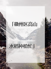 徽州区高山水稻种植忙