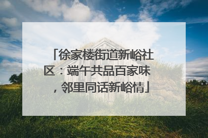 徐家楼街道新峪社区：端午共品百家味，邻里同话新峪情