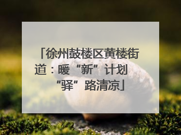 徐州鼓楼区黄楼街道：暖“新”计划 “驿”路清凉