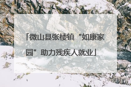 微山县张楼镇“如康家园”助力残疾人就业