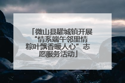 微山县驩城镇开展“情系端午邻里情 粽叶飘香暖人心”志愿服务活动