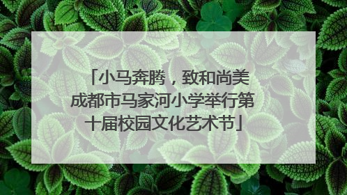 小马奔腾，致和尚美 成都市马家河小学举行第十届校园文化艺术节