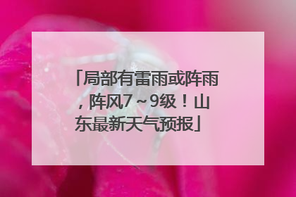 局部有雷雨或阵雨，阵风7～9级！山东最新天气预报