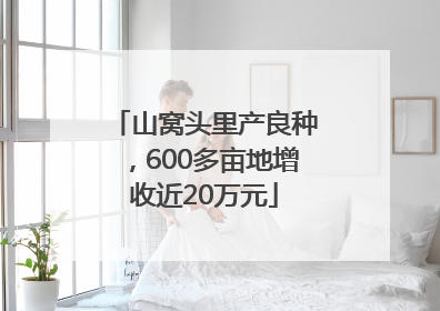 山窝头里产良种，600多亩地增收近20万元