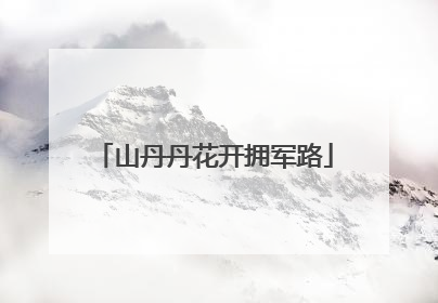 山丹丹花开拥军路