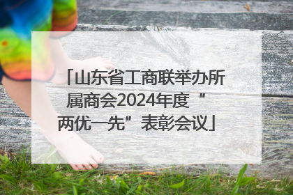 山东省工商联举办所属商会2024年度“两优一先”表彰会议