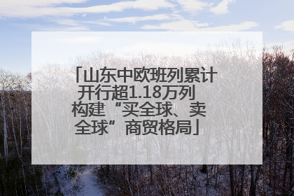 山东中欧班列累计开行超1.18万列 构建“买全球、卖全球”商贸格局