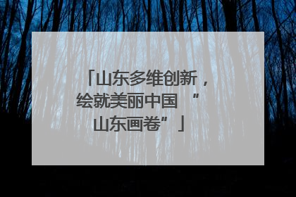 山东多维创新，绘就美丽中国 “山东画卷”