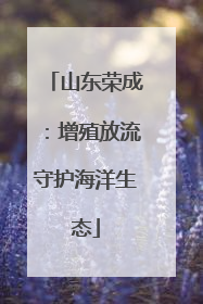 山东荣成：增殖放流守护海洋生态