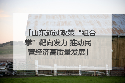 山东通过政策“组合拳”靶向发力 推动民营经济高质量发展