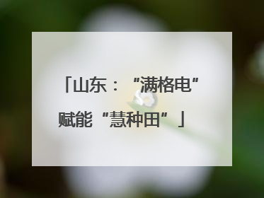 山东：“满格电”赋能“慧种田”