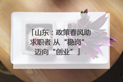 山东：政策春风助求职者 从“稳岗”迈向“创业”