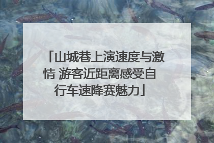 山城巷上演速度与激情 游客近距离感受自行车速降赛魅力