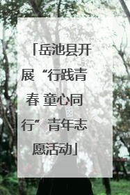 岳池县开展“行践青春 童心同行”青年志愿活动