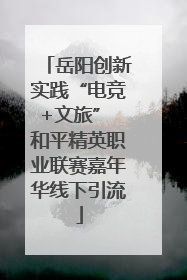 岳阳创新实践“电竞+文旅” 和平精英职业联赛嘉年华线下引流