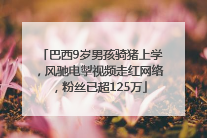 巴西9岁男孩骑猪上学，风驰电掣视频走红网络，粉丝已超125万