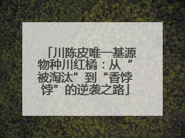 川陈皮唯一基源物种川红橘：从“被淘汰”到“香饽饽”的逆袭之路